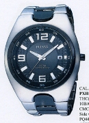 Pulsar Gents Ss Bip Inset D.Grey Dl 100 Wrist Watch Pulsar Gents Ss Bip Inset D.Grey Dl 100 Wrist Watch