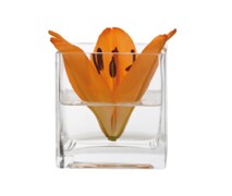 Maxwell & Williams Diamante Mondo Square Vase 10.5 - Min Orders Maxwell & Williams Diamante Mondo Square Vase 10.5 - Min Orders
