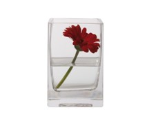 Maxwell & Williams Diamante Mondo Square Vase 15Cm - Min Orders Maxwell & Williams Diamante Mondo Square Vase 15Cm - Min Orders