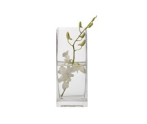 Maxwell & Williams Diamante Mondo Square Vase 25Cm - Min Orders Maxwell & Williams Diamante Mondo Square Vase 25Cm - Min Orders