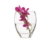 Maxwell & Williams Diamante Oslo Vase 15Cm - Min Orders Apply Maxwell & Williams Diamante Oslo Vase 15Cm - Min Orders Apply