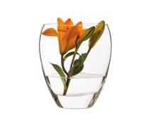 Maxwell & Williams Diamante Oslo Vase 25Cm - Min Orders Apply Maxwell & Williams Diamante Oslo Vase 25Cm - Min Orders Apply