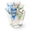 Vodka set with 4 glasses