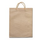 Brown paper shopping bag