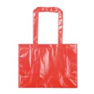 Non woven shopping bag