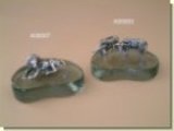 Buffalo x 2 Glass Paper Weight - African Theme