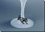 Leopard Champagne Glass - 15CL - African Theme