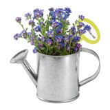 Plant in watering can - Available in: Blue