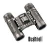 BUSHNELL POWERVIEW 8 X 21 ROOF PRISM BUSHNELL POWERVIEW 8 X 21 ROOF PRISM