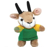 Keyring - Springbok - With Printed Bokke - Green & Yellow Shirt