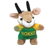 Keyring Springbok With Green & Yellow Bok Shirt