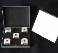 Poker Dice In Case - Min Order: 10 Units