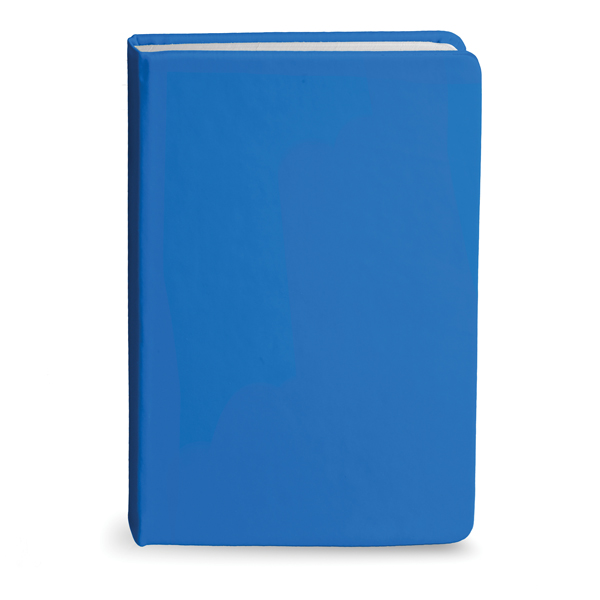 Bingham Notebook