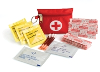 Travel First Aid Kit