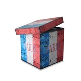 Storage Box 64cm Paris - Medium