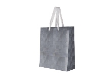 Sliver Paper Gift Bag [27cm]