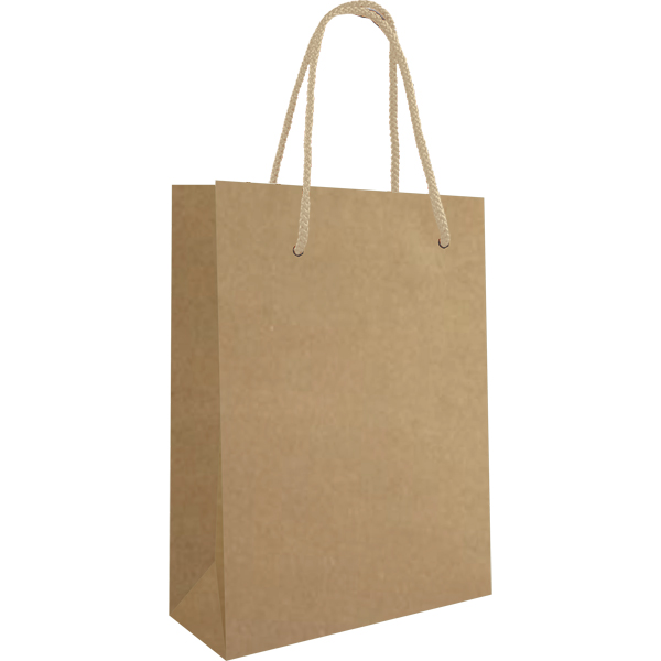 Knick Knack Paper Gift Bag - 160 gram