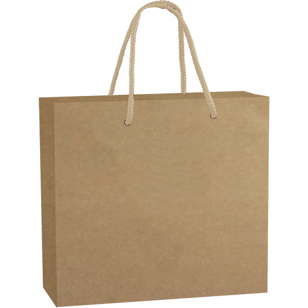 Trinket Paper Gift Bag. EACH (H)230 (W)260 mm