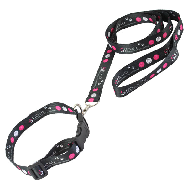 Tucker Dog Leash + Collar with full colour 2 sided