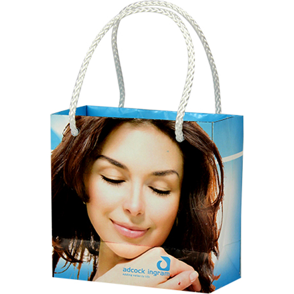 Mini Gift Bag- Can take a full colour print