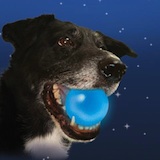 Meteorlight K-9 - LED Dog Ball