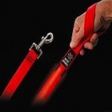 Nite Dawg - LED Pet Leash