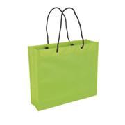 Wide Shopper with Carry Handles