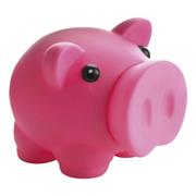 Piggy Bank with Nose Stopper