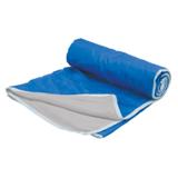 Picnic Blanket - Blue