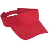 Arena Visor