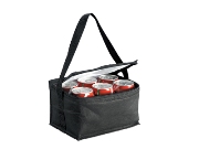 Economical Cooler Bag