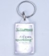 Can shape clear - takes printed insert - Customised Keyring