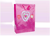 Gift Bag 51