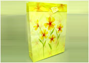 Gift Bag 134