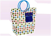 Gift Bag 13