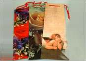 Ladies Wine Bags (12) Gift Bag 94