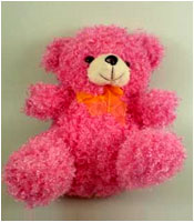 Stuffed Toy Bear