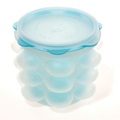 Fusionbrands Iceorb Fusionbrands Iceorb