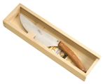 Jean Dubost Le Thiers Tart Knife Jean Dubost Le Thiers Tart Knife