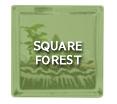 Square Forest Square Forest
