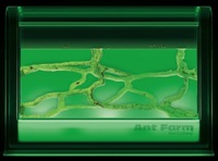 Ant Farm Gel Colony