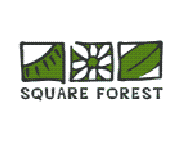Square Forest Square Forest