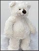 Teddy Bear  55cm - Soft, Cuddly Teddy Bear