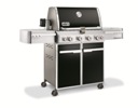 Weber Summit E-450