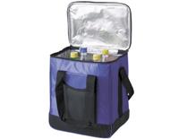 GTS Picnic Cooler Bag-Black