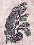 Chameleon Heidi Lange Prints