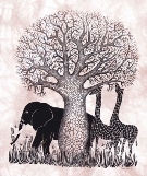 Tsavo Heidi Lange Prints