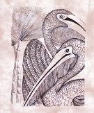 Pelicans Heidi Lange Prints