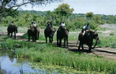 Elephant Back Safari For Two Elephant Back Safari For Two