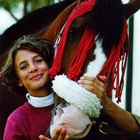 Horse Riding Lessons Horse Riding Lessons